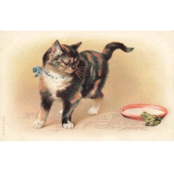 CHAT -35226 CHATS CAT KATZE SUPERBE CHAT ET SA GRENOUILLE