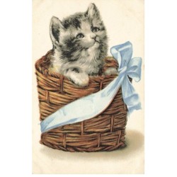 CHATS CHAT -FG35119 CAT KATZE UN CHATON DANS UN PANIER EN OSIER GAUFREE