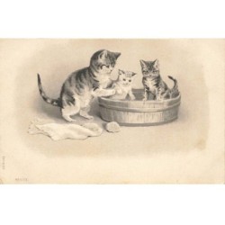 CHATS CHAT -FG35080 CAT KATZE MAMAN CHAT PRENDS LE BAIN DE SES CHATONS
