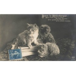 CHAT -32389 DANS LA BIBLIOTHEQUE TROIS CHATONS SUR UN LIVRE