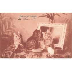CHAT -32377 CABINET DE TOILETTE TROIS CHATONS DEVANT LE MIROIR