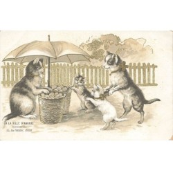 CHAT -35228 CHATS CAT KATZE UN CHAT MARCHAND DE GATEAUX ET SES CHATONS PUBLICITE VILLE ANGERS