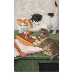 CHATS -MK41479 CHATS ET LIVRE