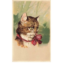 CHATS CHAT -FG35110 CAT KATZE PORTRAIT D UN CHAT TIGRE AVEC UN NOUED ROUGE GAUFREE