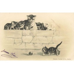 CHATS CHAT -FG35073 CAT KATZE GROUPE DE CHATS SUR UN MUR REGARDANT UN CHATON QUI JOUE A LA BALLE GAUFREE