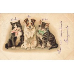 CHAT -32366 DEUX CHATS ET UN CHIEN AVEC DES NOEUDS