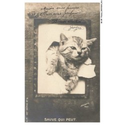 BK-BFP1-0410-ANIMAUX - Sauve qui peut - chat