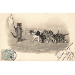 CHATS CHAT -FG35076 CAT KATZE GROUPE DE CHATS DEPART DE LA COURSE DE CHATS GAUFREE