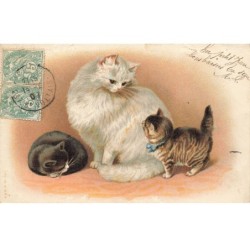 CHATS CHAT -FG35082 CAT KATZE MAMAN CHAT BLANC ET SES DEUX CHATONS