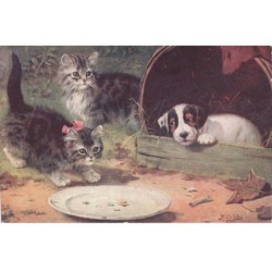 CHAT -32381 DEUX CHATONS GRIS ET UN CHIOT JACK RUSSELL