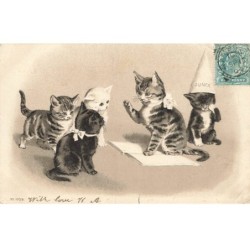 CHATS CHAT -FG35074 CAT KATZE GROUPE DE CHATS A L ECOLE BONNET ANE GAUFREE