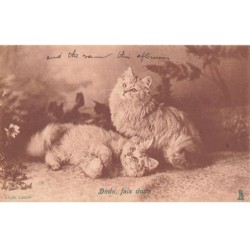 CHAT -32378 DODO FAIS DODO DEUX CHATS BLANC A POILS LONGS