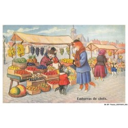 BK-BFP1-0420-ANIMAUX - Embarras du choix - marche - chat