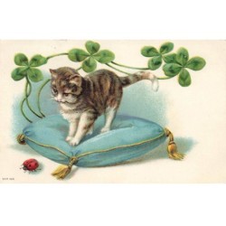 CHATS CHAT -FG35125 CAT KATZE UN CHATON SUR SON COUSSIN REGARDE UNE COCCINELLE TREFLE GAUFREE