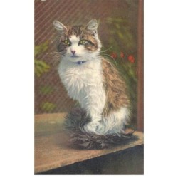 CHATS -MK39940 PORTRAIT DUN CHAT