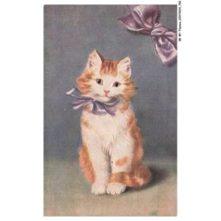 BK-BFP1-0393-ANIMAUX - Portrait de chat