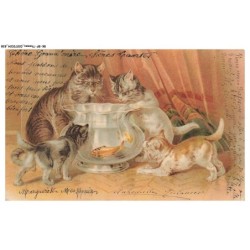 BK-BFP1-0421-ANIMAUX - Chats autour d'un bocal de poisson