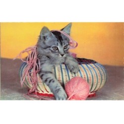 CHAT -35292 CHATS CAT KATZE CHATON DANS UN PANIER DE PELOTE