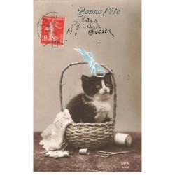 CHATS -MK39800 BONNE FETE CHATON DANS UN PANIER