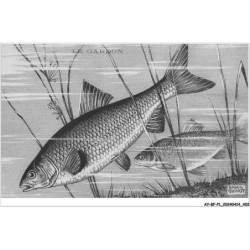 AY-BFP1-0202-POISSON - LE GARDON - Raoul Guinot