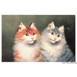 BK-BFP1-0422-ANIMAUX - Portrait de chats