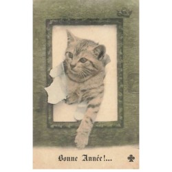 CHATS -MK39874 BONNE ANNEE CHAT TIGRE SORTANT D UN CADRE