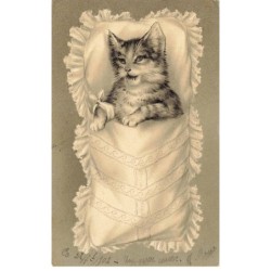 CHAT CHATS -FG38014 CAT KATZE HUMANISE DANS UN COUFFIN GAUFREE