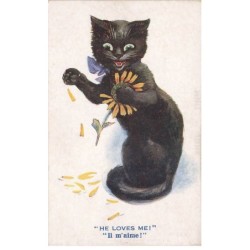 CHATS NOIRS -FG35049 CAT BLACK KATZEN IL M AIME CHAT QUI EFFEUILLE UNE TOURNESOL MARGUERITE