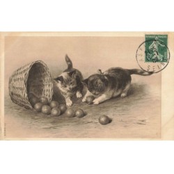 CHATS -MK39808 DEUX CHATONS QUI JOUENT A LA BALLE