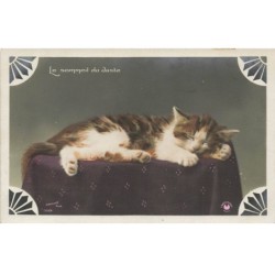 CHATS -MK39772 LE SOMMEIL DU JUSTE CHAT ENDORMI