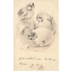 ANIMAUX  AO-AL000806 POUSSINS SORTANT DE LEURS COCQUILLES