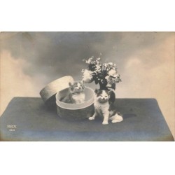 CHATS -MK39804 DEUX CHATONS SUR UNE TABLE FLEURS