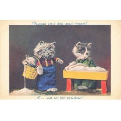 CHATS -MK39774 POURQUOI EST IL DONC AUSSI REMUANT DEUX CHATS HUMANISER