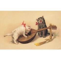 CHATS -MK39901 CHATS BLANC ET GRIS INSTRUMENT GUITARE CYTHARE BANJO
