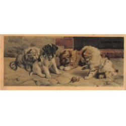 CHAT -32386 GROUPE DE CHATONS ET CHIOT JACK RUSSELL JOUANT AVEC UN ESCARGOT ILLUSTRATEUR MEIER