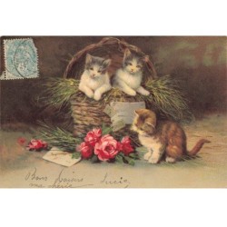 CHATS -MK39962 CHATS PANIER FLEURS ROSES