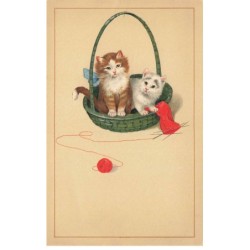 CHAT -35246 CHATS CAT KATZE 2 BEAUX CHATONS DANS UN PANIER DE PELOTE ROUGE