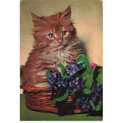 CHATS -MK34344 CHAT DANS UN PANIER FLEURS