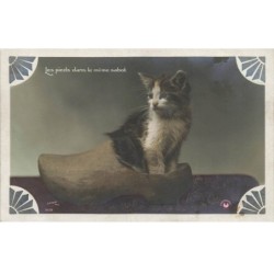CHATS -MK39766 LES PIEDS DANS LE MEME SABOT CHATON