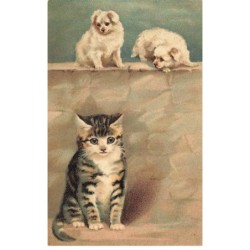 CHAT -35247 CHATS CAT KATZE UN BEAU CHAT TIGRE ET 2 CHIOTS SUR UN MURET