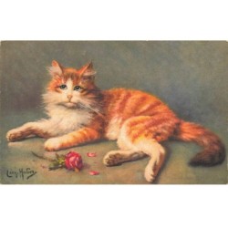 CHATS -MK34345 CHAT ALLONGE ET UNE ROSE