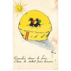 CHATS CHAT -FG35166 CAT KATZE COUCHES DANS LE FOIN SOLEIL POUR TEMOIN PAR RENE
