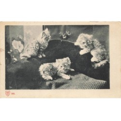 CHATS -MK34358 TROIS CHATONS SUR UN LIT
