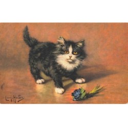 CHATS -MK34370 CHAT NOIR ET BLANC ET UNE FLEUR