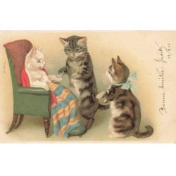 CHATS CHAT -FG35090 CAT KATZE UN CHAT MEDECIN AU CHEVET D UN CHAT BLANC