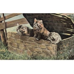 CHATS -MK34360 TROIS CHATS DANS UN PANIER