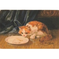 CHATS -MK34367  UN CHAT ET SON REPAS