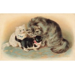 CHATS CHAT -FG35111 CAT KATZE MAMAN CHAT PERSAN ET SES CHATONS