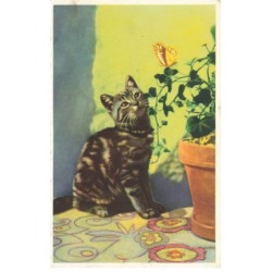 CHATS -MK40076 UN CHAT TIGRE PAPILLON JAUNE FLEURS