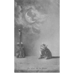 CHATS -MK40091 AU CLAIR DE LUNE CHAT ET INSTRUMENT MUSIQUE CONTRE BASSE LUNE MOON